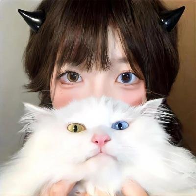 上海惊奇
